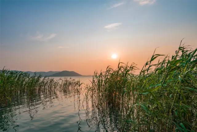 10-太湖芦苇荡 7.10天气晴,一起走君被眼前的太湖美景所吸引.